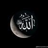 www.tiktok.comgizz