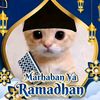 barudak.nyalse7