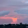 baoboi9537
