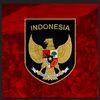 Garuda fans 🇮🇩