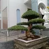 khchon54