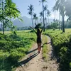 lhynharde.sexzii2