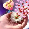 user8807863553631
