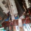 koura246