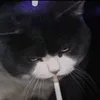 mr_rennnn