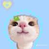 khanhtop1bloxfruit