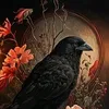 eidemir