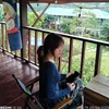 hanh...7