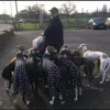 lankylurcherpack