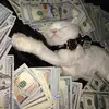 like_if_you_love_money0
