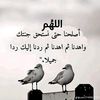 user5011573928797