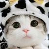 mimi.ch18