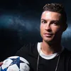 thodavid2