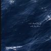 salma_bloom1