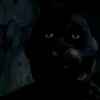 mister_ardor