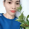 taphoanhalanh