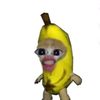 tanaya_1203