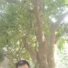 chin87164