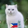 charlitaredulla