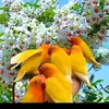 muhammed.rza47