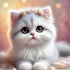癒しの赤ちゃん猫🐈 Miyu HealingKittens