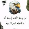user6187494232307