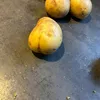 stopyouveviolated3