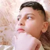 user281782198511