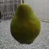 sh0_70m