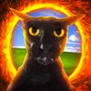 The Multiverse Of Cats