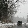 morgangaskin2424