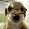 pando_co