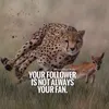 hamid_louazani