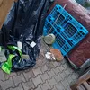 szumowina0