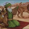 ibish237