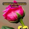 q_wel7