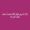 user33636674061586