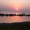 kalklmaash