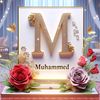 mouhamadou.mohammed