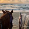 mariam.hema14