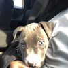 daisy.cruz614