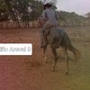 nio.arevalo.areva