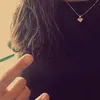 secret_licehhh