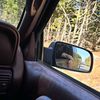 noraelizabeth_123