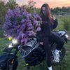 irysik_kotysik