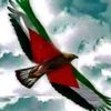 bassam.zabydat0