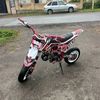 mr.morkovka55