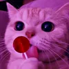move_n10