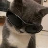 username120132025