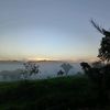 estrada_659